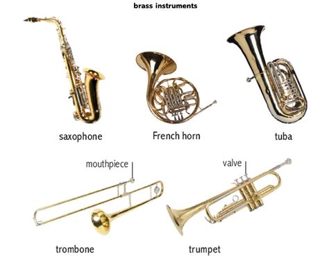 How long can trumpet last?