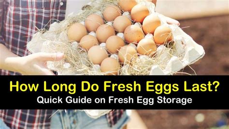 How long can you leave eggs out?