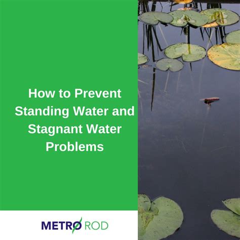 How long can you leave stagnant water?