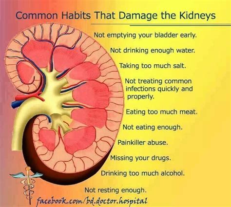 How long can you live with 50% kidney function?