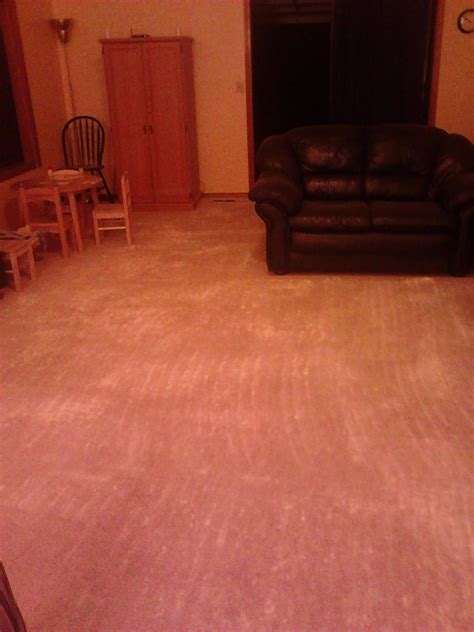 How long do I have to leave diatomaceous earth on carpet?