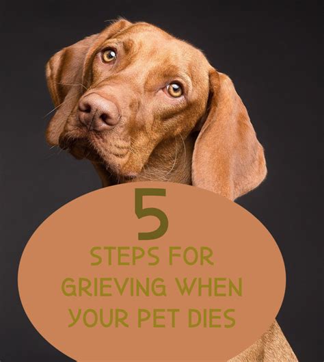 How long do dogs mourn death?