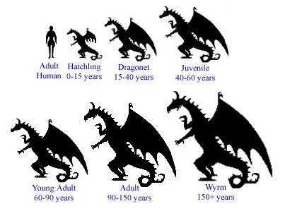 How long do dragons live?