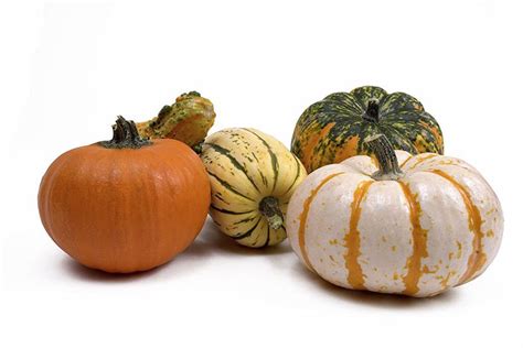 How long do gourds last?