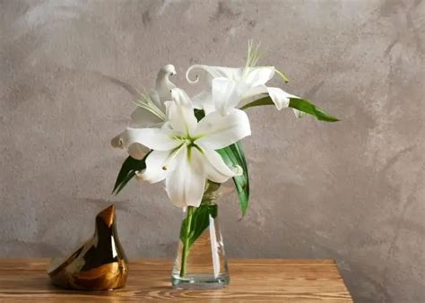 How long do lilies last in a vase?