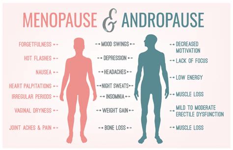 How long do men go through andropause?