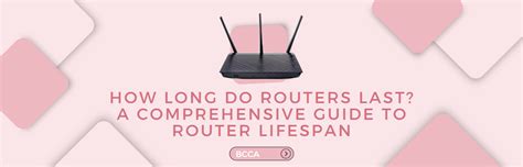 How long do mesh routers last?