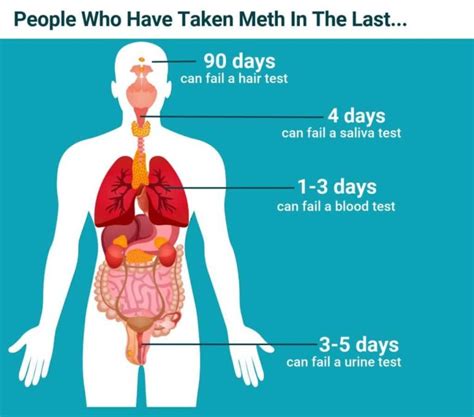 How long do metals stay in your system?