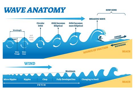 How long do sea waves last?