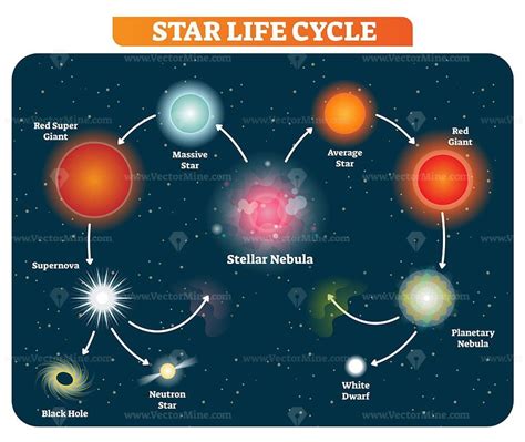 How long do stars live?