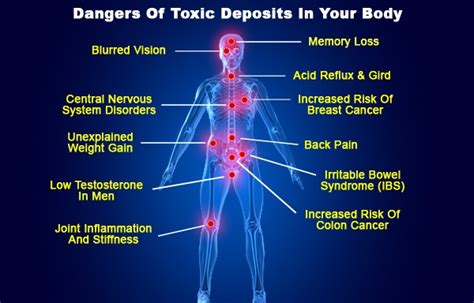 How long do toxic chemicals stay in the body?