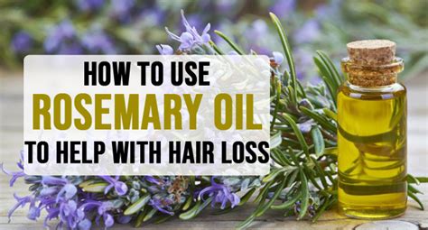 How long do you leave rosemary oil in shampoo?
