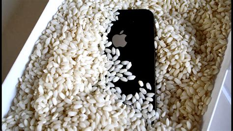 How long do you leave your iPhone in rice?