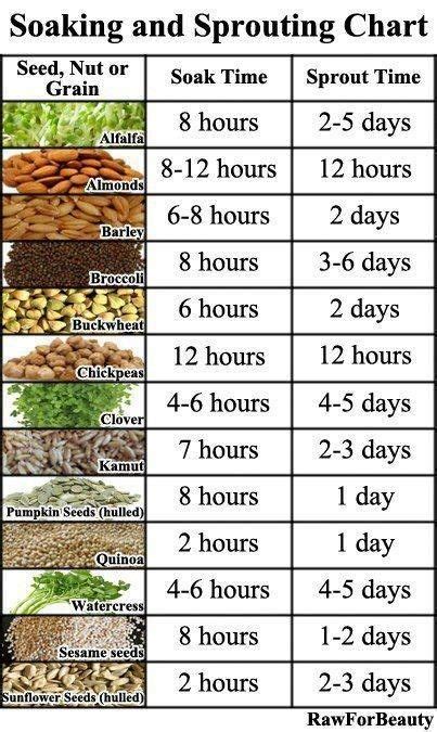 How long do you soak sprouts?
