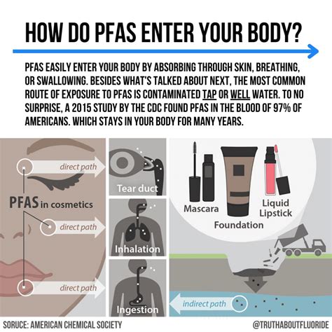 How long does PFAS stay in the body?