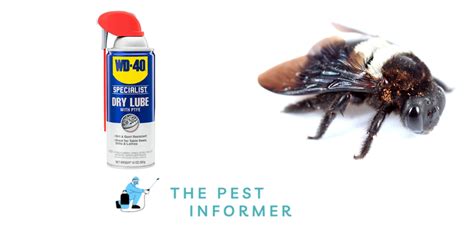 How long does WD40 keep bees away?