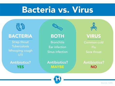 How long does a bacterial infection go away with antibiotics?