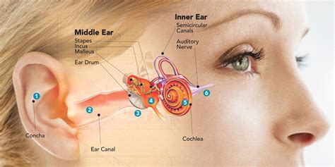 How long does a deaf ear last?