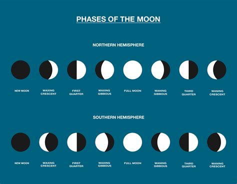 How long does a new moon last for?