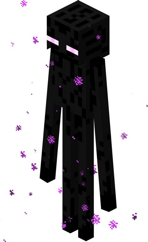 How long does an Enderman live?