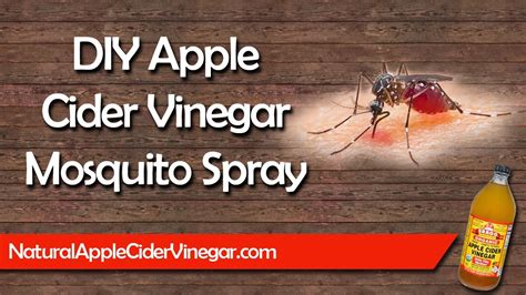 How long does apple cider vinegar repel mosquitoes?