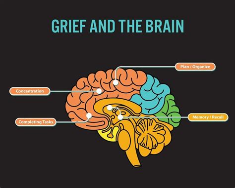 How long does brain fog from grief last?