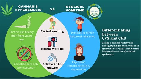 How long does cannabinoid syndrome last?