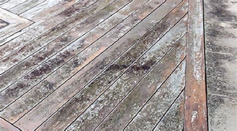 How long does decking take to rot?