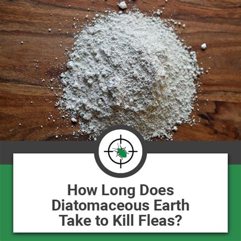 How long does diatomaceous earth last outside?