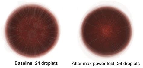 How long does dried up blood last?