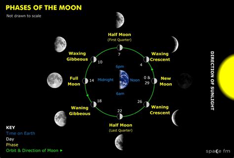 How long does each moon phase last?