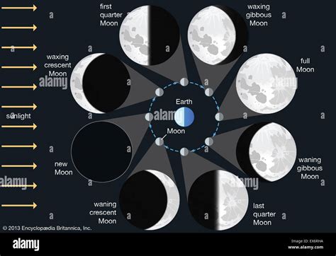 How long does each moon phase last in days?