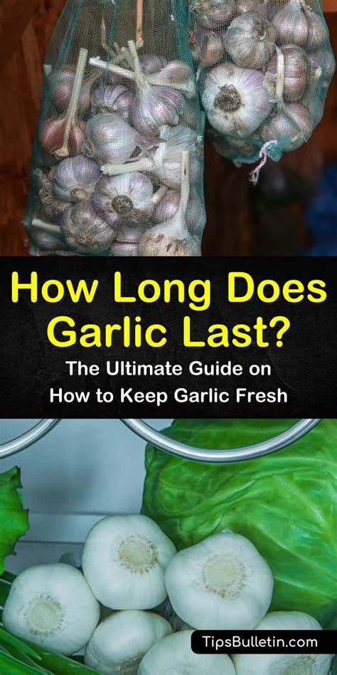 How long does garlic last once cured?