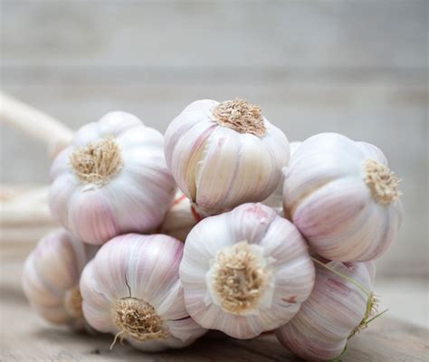 How long does homemade garlic last?