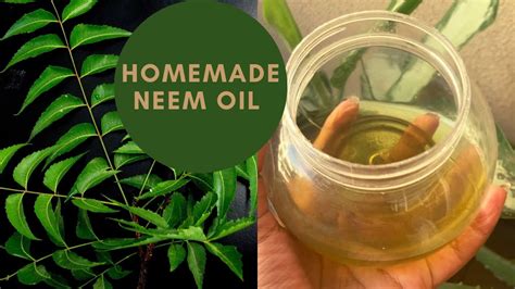 How long does homemade neem oil last?