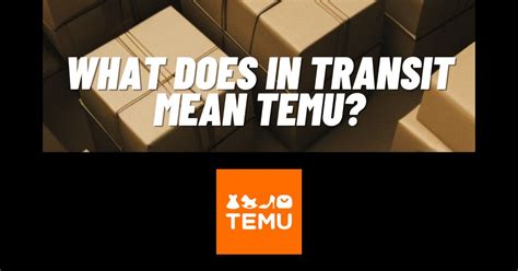 How long does in transit take Temu?