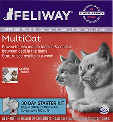 How long does it take for Feliway MultiCat to work?