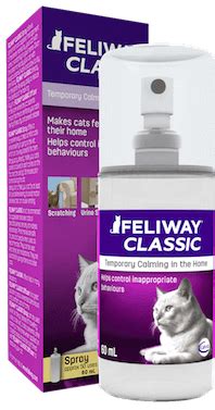 How long does it take for Feliway to go away?