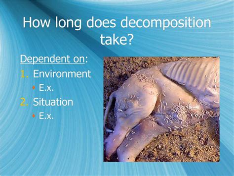 How long does it take for a body to decompose for science?