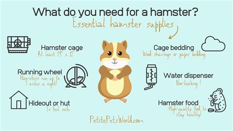 How long does it take for a hamster to love you?