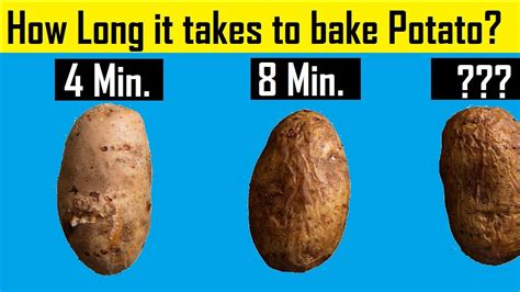 How long does it take for a potato to rot?