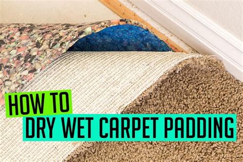 How long does it take for a really wet carpet to dry?