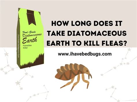 How long does it take for diatomaceous earth to start killing fleas?