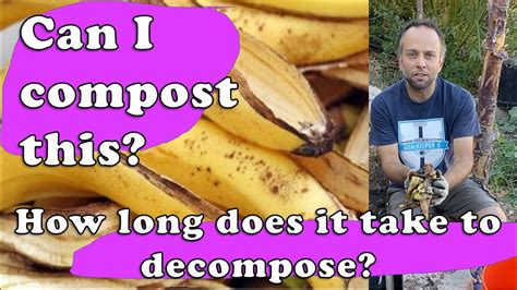 How long does it take for fruit peels to biodegrade?