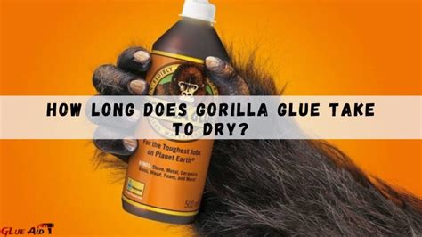 How long does it take for hot Gorilla glue to dry?