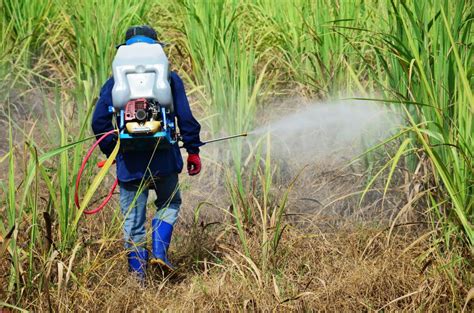 How long does it take for insecticide to wear off?