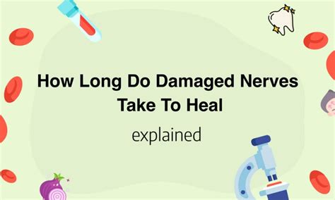 How long does it take for nerves to heal after electric shock?