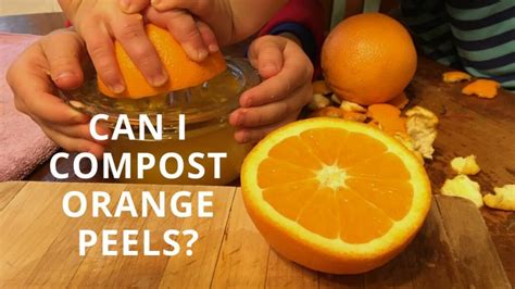 How long does it take for orange peel to decompose on the ocean?