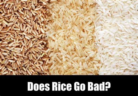 How long does it take for rice to go toxic?