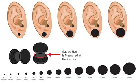 How long does it take for size 0 gauges to close?